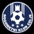 Celje Logo