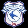 Cardiff City Live HD