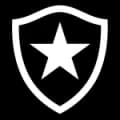 Botafogo Live HD