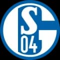 Schalke 04 Live HD