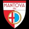 Mantova Live HD