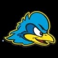 Delaware Blue Hens Live HD
