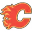 Calgary Flames Live HD