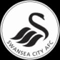 Swansea City Live HD