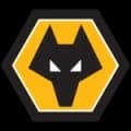 Wolves Live HD