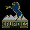 Brumbies Live HD