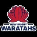 Waratahs Live HD